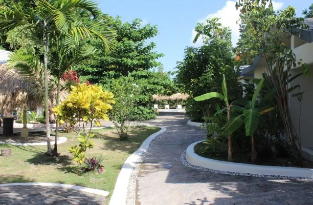 Afreeka Beach Hostel Las Terrenas garden tropical