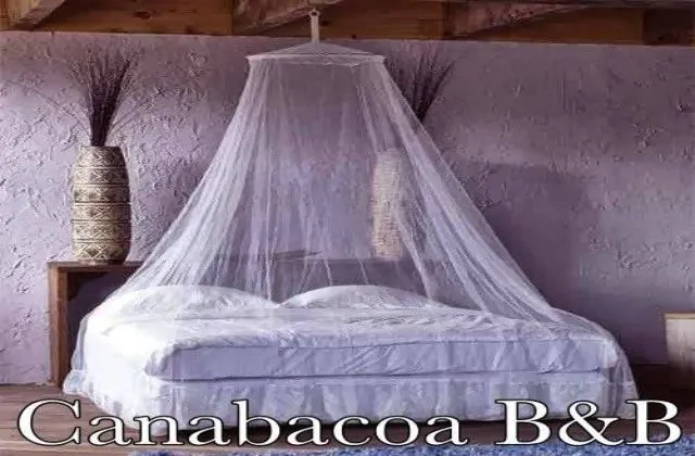 Canabacoa Santiago room