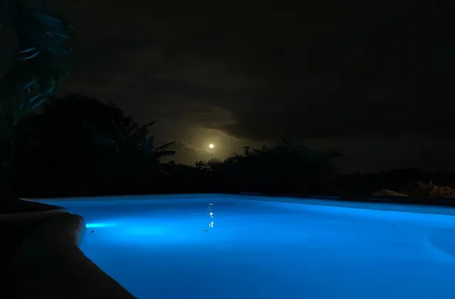 EkHotel Cap Cana Punta Cana Pool