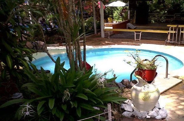Finca Villa Felicidad Pool 1