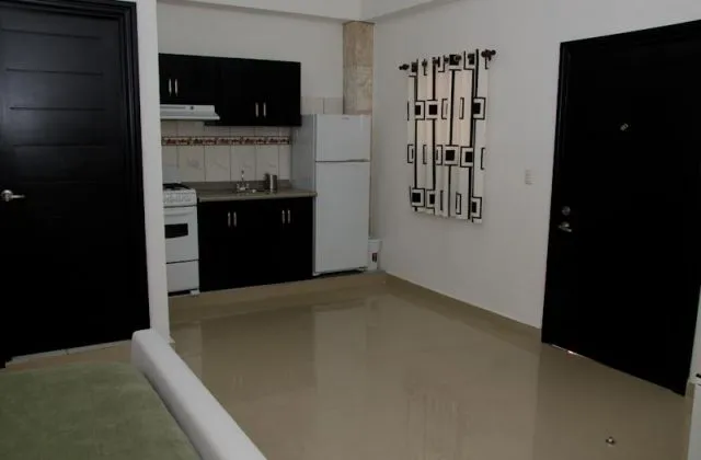 Apart hotel Guaraguao apartment kitchen