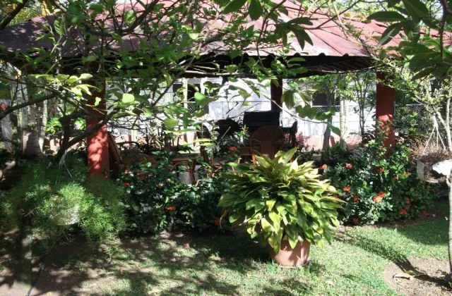 Guest House Jarabacoa Dominican Republic garden