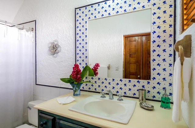Villa Lucia Casa de Campo La Romana Bathroom