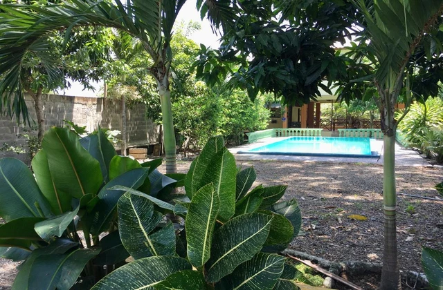 Villa Sandoval Bonao Pool