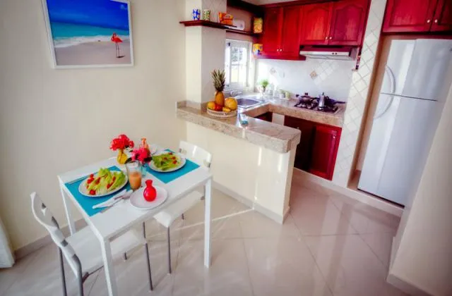 Shakey Santo Domingo apartment kitchen
