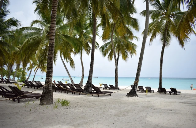 Hotel Tropical Punta Cana Beach