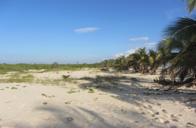 beach arena gorda punta cana 2