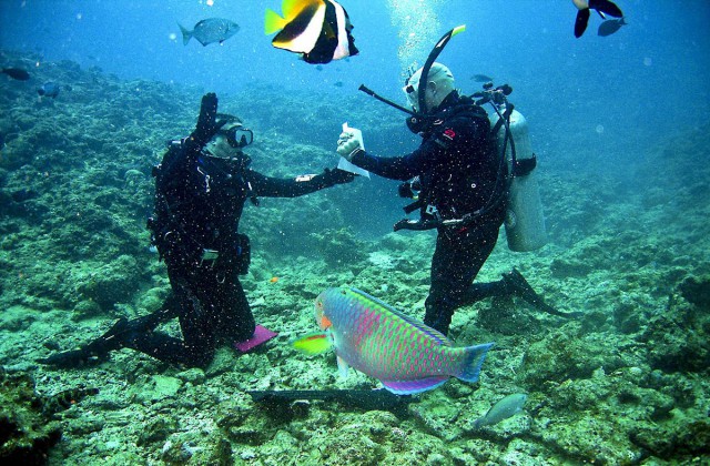 Diving Boca Chica Dominican Republic