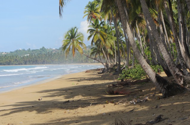 Playa Coson Las Terrenas 1