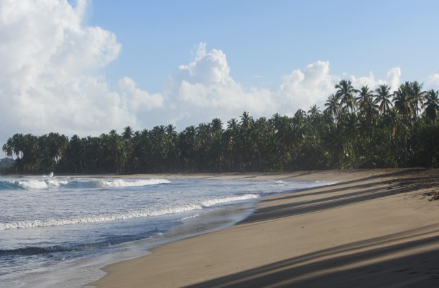 Playa Coson Las Terrenas 3