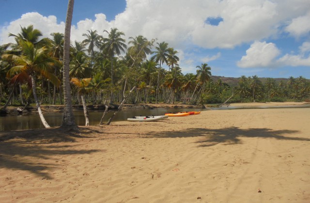 Playa Coson Las Terrenas Dominican Republic
