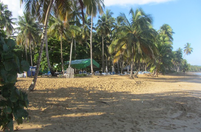 Playa Coson Las Terrenas Restaurant Luis