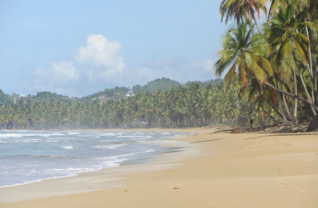 Playa Coson Las Terrenas Samana Dominican Republic