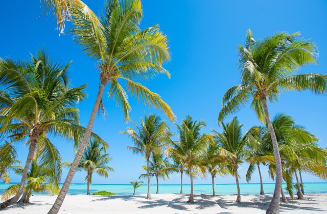 Beach El Cortecito Punta Cana