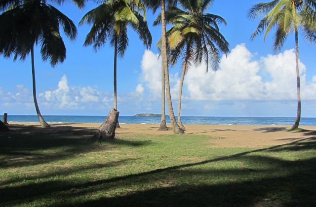 Playa el limon samana 4