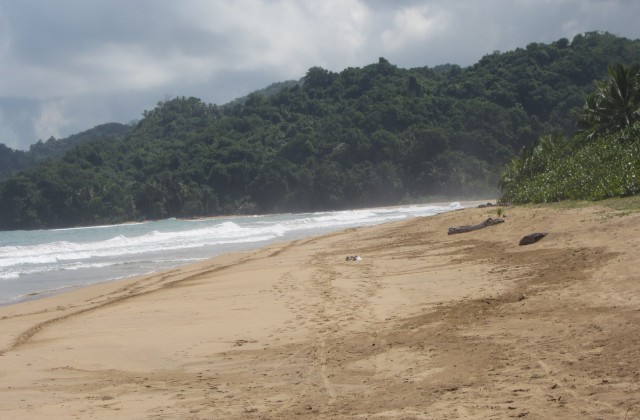 Playa el limon samana 6