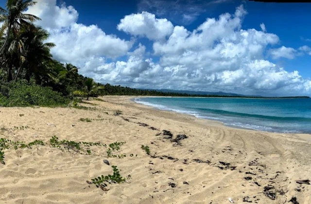 Playa Arriba Miches