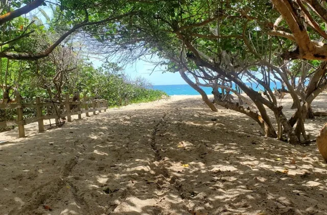 Playa Guzmancito Puerto Plata Dominican Republic