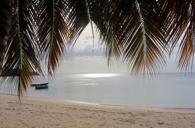 Playa Las Ballenas dominican republic