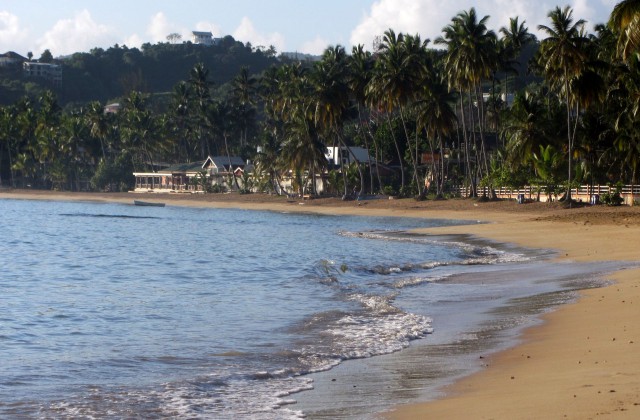 Playa Las Ballenas Las Terrenas Samana 6