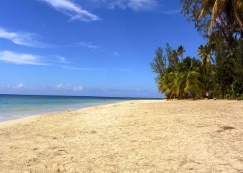 Playa Las Ballenas dominican republic
