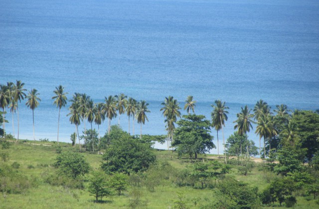 Beach Las Terrenas 2