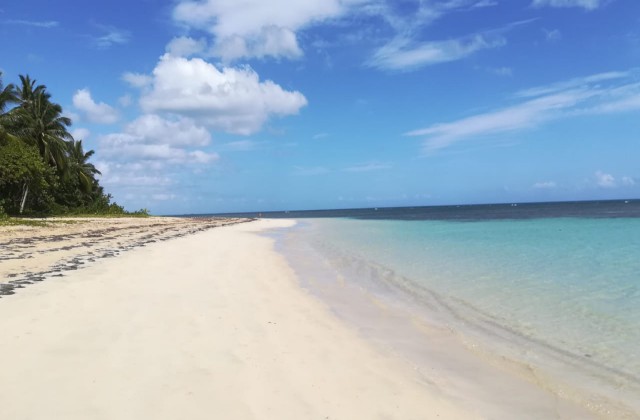 Beach Las Terrenas Dominican Republic