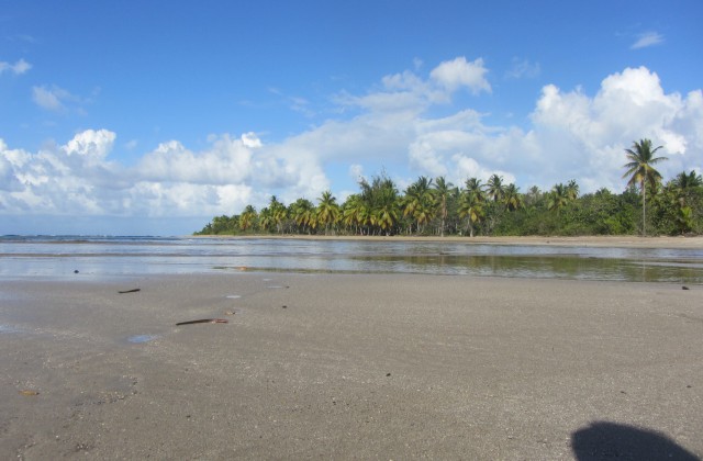 Playa Aleman Estillero Las Terrenas