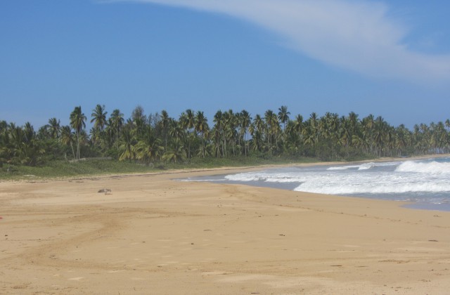 Playa El Limon Samana Las Terrenas