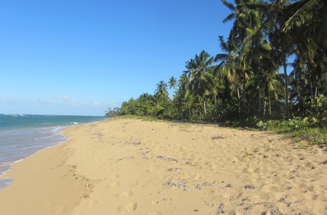 Playa El Portillo Dominican Republic