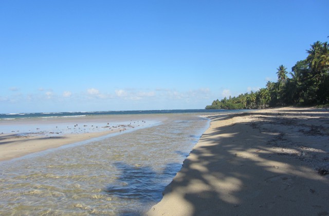 Playa El Portillo Las Terrenas