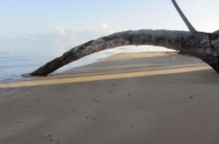 naturist beach dominican republic