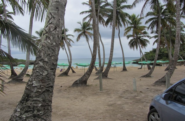 playa caribe dominican republic