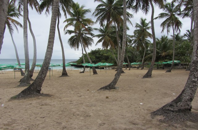 playa caribe juan dolio