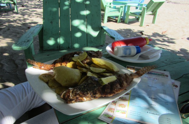 Playa Najayo San Cristobal 4