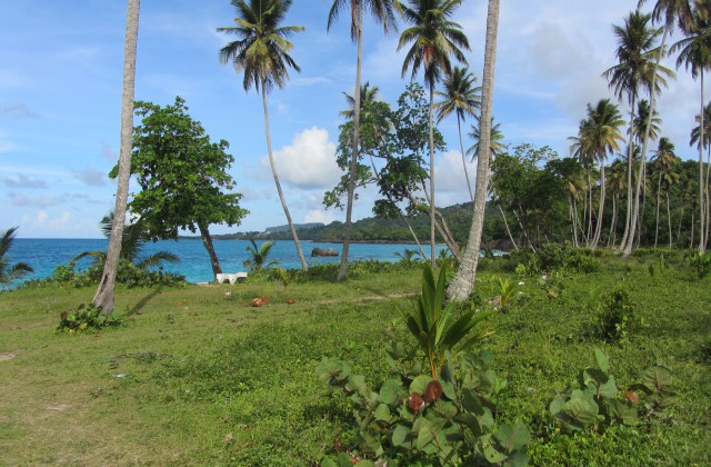 Playa Rincon Las Galeras Samana Dominican Republic