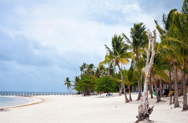 Beach Punta Cana Bavaro 2