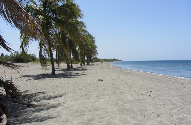 Beach Punta Las Salinas 1