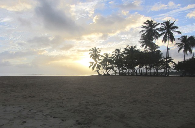 Beach Punta Popy Las Terrenas Samana