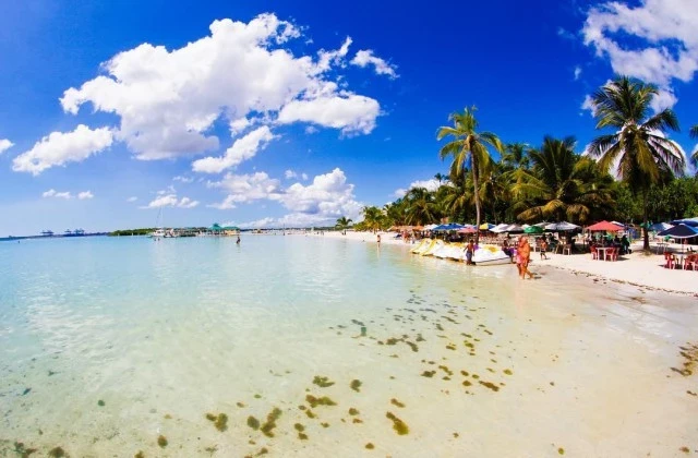 Beach Boca Chica Dominican Republic