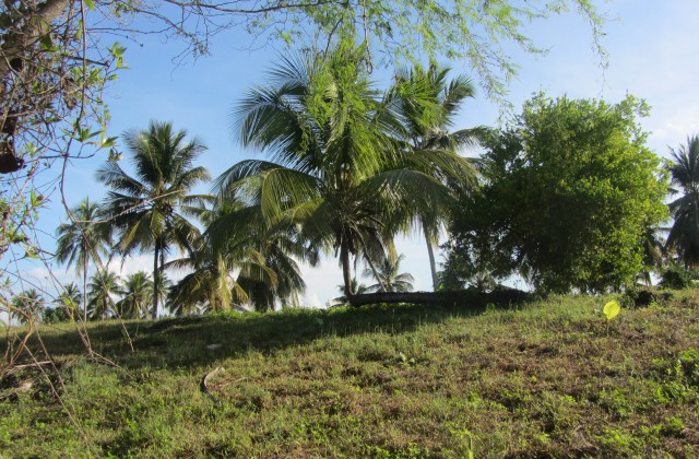 Bayahibe Dominican Republic 5