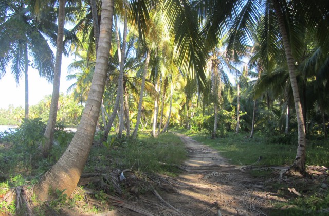 El Portillo Las Terrenas