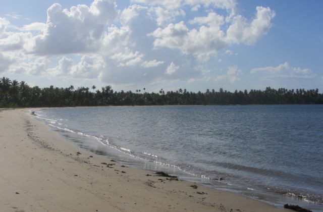 Playa Aleman Estillero Las Terrenas