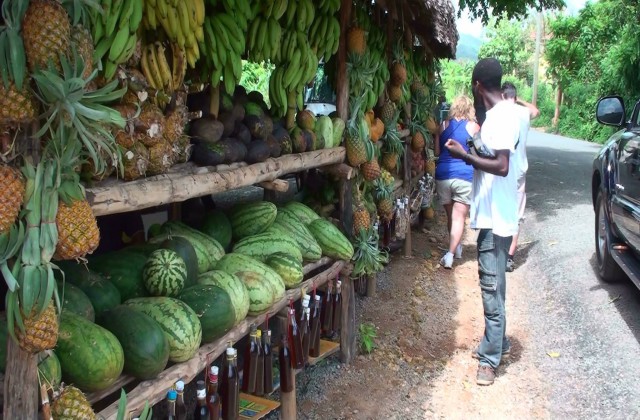 Las Galeras Market