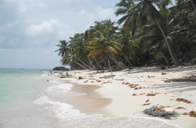 Las Galeras Samana beach