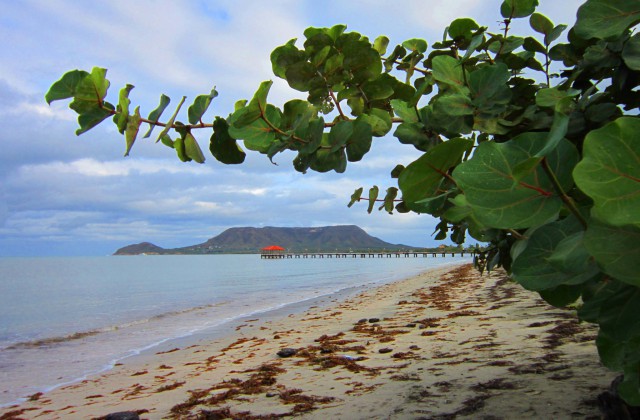 Beach Monte Cristi 1