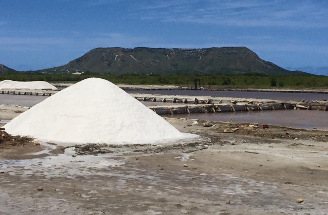 Salt marshes Montecristi