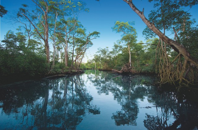 Laguna Gri Gri Rio San Juan