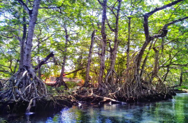 Laguna Grigri en Rio San Juan