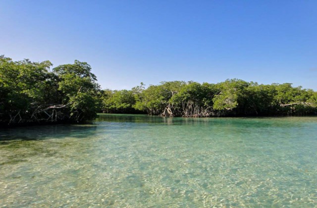 Boca Chica Isla Matica